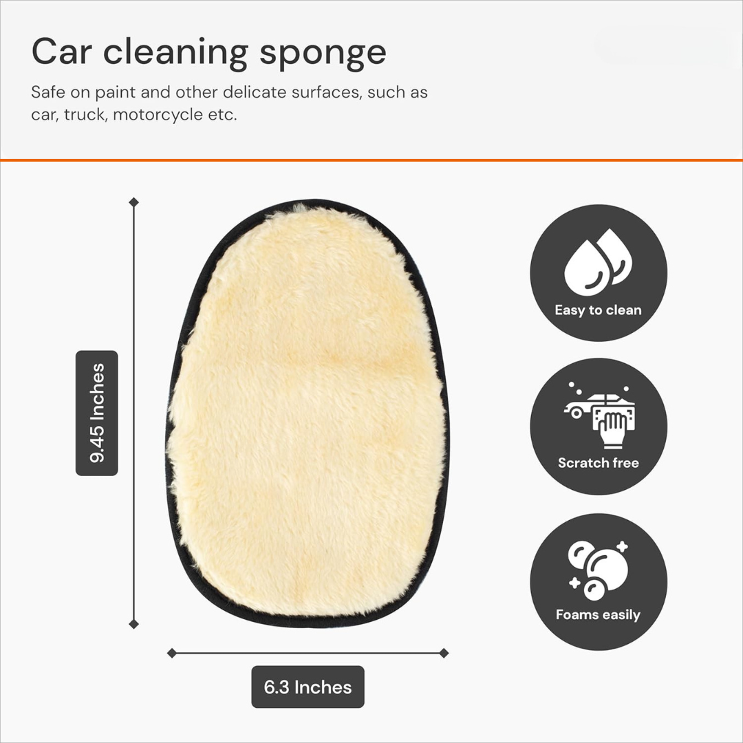 MiniMall Car Washing Gloves